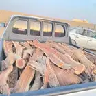 البيع هيلكس شرط يبس