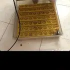 قفاسه اثنين نظيفه يدخل فيه 55يبض