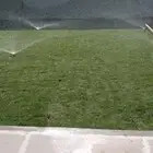 ثيل طبيعي حق الخرج