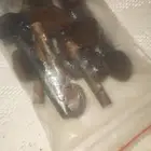 مفاتيح عود سيم سيم خشب