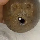 دله الوجه للبيع