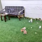 مستلزمات حديقة حوش كاملة للبيع