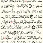 ابي احد يطلع سياره لزوجتي عن شركات