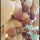 السلام عليكم يوجد لدينا جميع انواع النخيل المثمرة