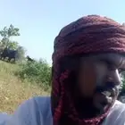 مطلوب شغل غنم انا في السودان