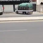دينا شبك طالع جده من المدينه المنوره من له طلب