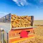 البيع دنا شرط يبس