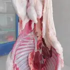 ملحمة النسيم ومزارع بلدي خرفان تيوس يوجد توصيل