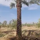 جميع مناطق المملكة العربية السعودية