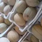 شمام