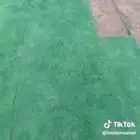 ثيل انتورو فرنسي ممتاز على الشرط