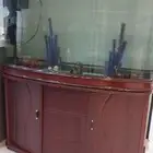 حوض سمك كبير