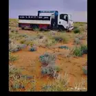 دينا ونش مشاوير نقل البل و كل شي تواصل مع