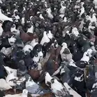 حمام مشكل متبقي 3000 الف جوز