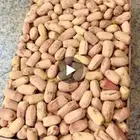 مطلوب تمر بياض لبانه فاخره كميات مفتوحه