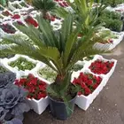 مزارع ومنسق حدائق