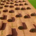 ثيل سي 2000 فرنسي