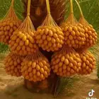 قص نخل وترتيب حدائق وعمل احوض زراع