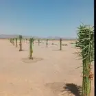 الرياض الدوادمي البجاديه عفيف الجمش التوصل