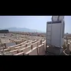 صبات صبيات سفتي مستعمل سيفتي نيوجرسي مستعملة