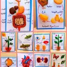 مدرس خصوصي ببيت الطالب تأسيس ومتابعة بالرياض