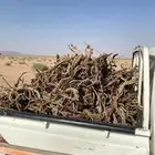 سياره غمارتين