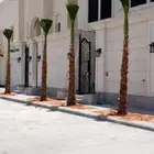 يوجد لديناء نخل للبيع اسعار مناسبه