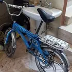 سيكل اندوسي اصلي