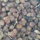 يتوفر لدينا تمر علاف