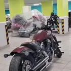 انديان سكاوت 2022
