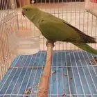 ذره