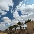 مزرعه للبيع بعشيره في مدينة الطايف