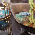 عروض حصرية