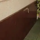 باب