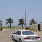 طيس كلاسي مقاس 15