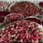 ورد الدمام تنسيق ورد وهدايا تنسيق حسب الطلب توصيل فوري كل أح