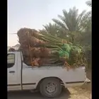 السلام عليكم ورحمة الله وبركاته