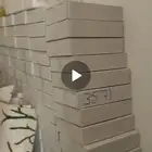 برني العيص جديد