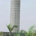 سمك ديراي سب