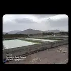 خزانات مزره مبروم خزانات سم  خزانات مسبخ