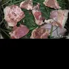 مرخ طازج للبيع