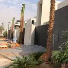 نخل واشنطني