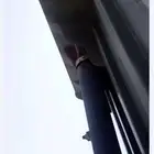 صندوق تريله قلاب للبيع او الايجار