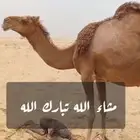 خلفه حمراء مشروط تحتها قعود