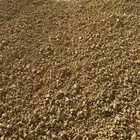 دفان صبيز كساره