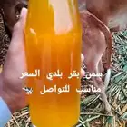 سمن بقر بلدي السعر مناسب للتواصل