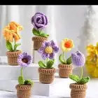 وردبلصوف والوان حسب طلب لصغيري 15ولوسط 30