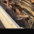 ددسن غماره نضيف على الشرط