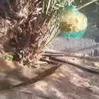 يوجدلدينافسايل إخلاص وبرحي