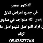 معالج جميع امراض الإبل شعبي صغير اليماني